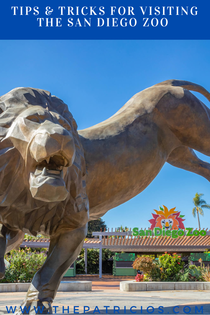 Tips Tricks For Visiting The San Diego Zoo The Patricios