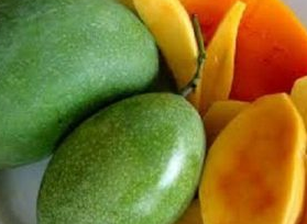 VARIETAS MANGGA LALI JIWO VARIETAS MANGGA LALI JIWO