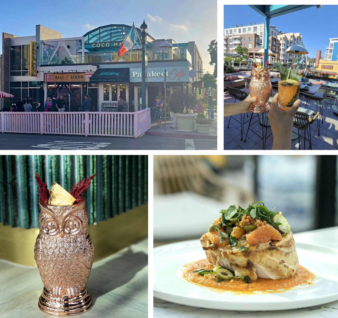 Sandiegoville Coco Maya Brings Caribbean Beach Vibes Rooftop Lounging To San Diego S Little Italy