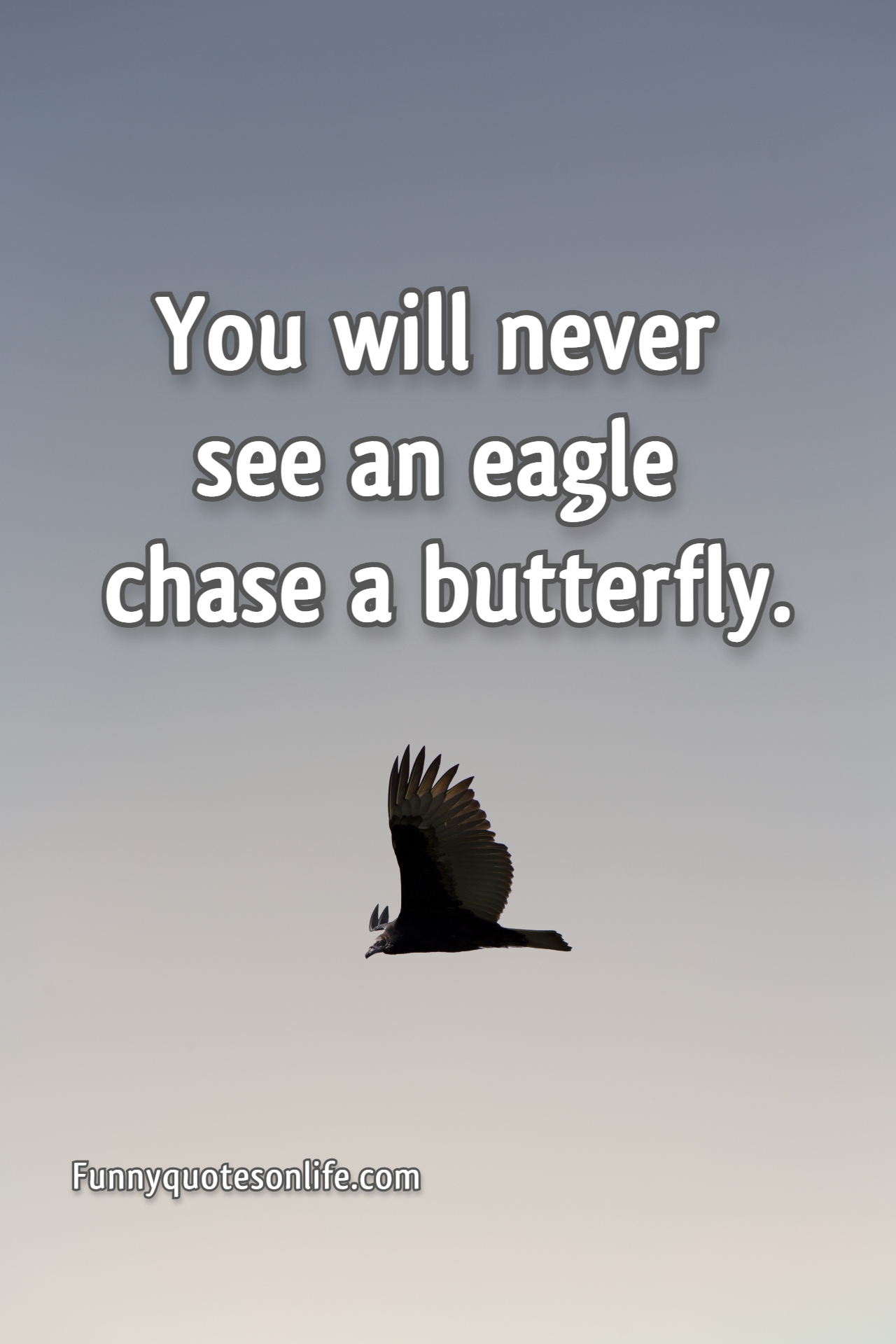 Famous Ambition Quotes Motivational Quotes For Success