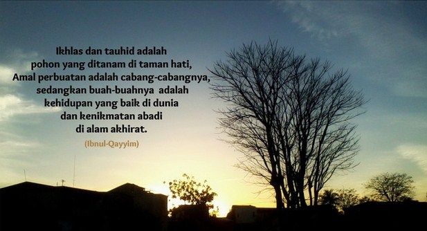 Al-Anwar- Hikmah, Hakikat Teman Sejati