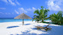 10 Sommer Natur Gute Laune Hintergrundbilder