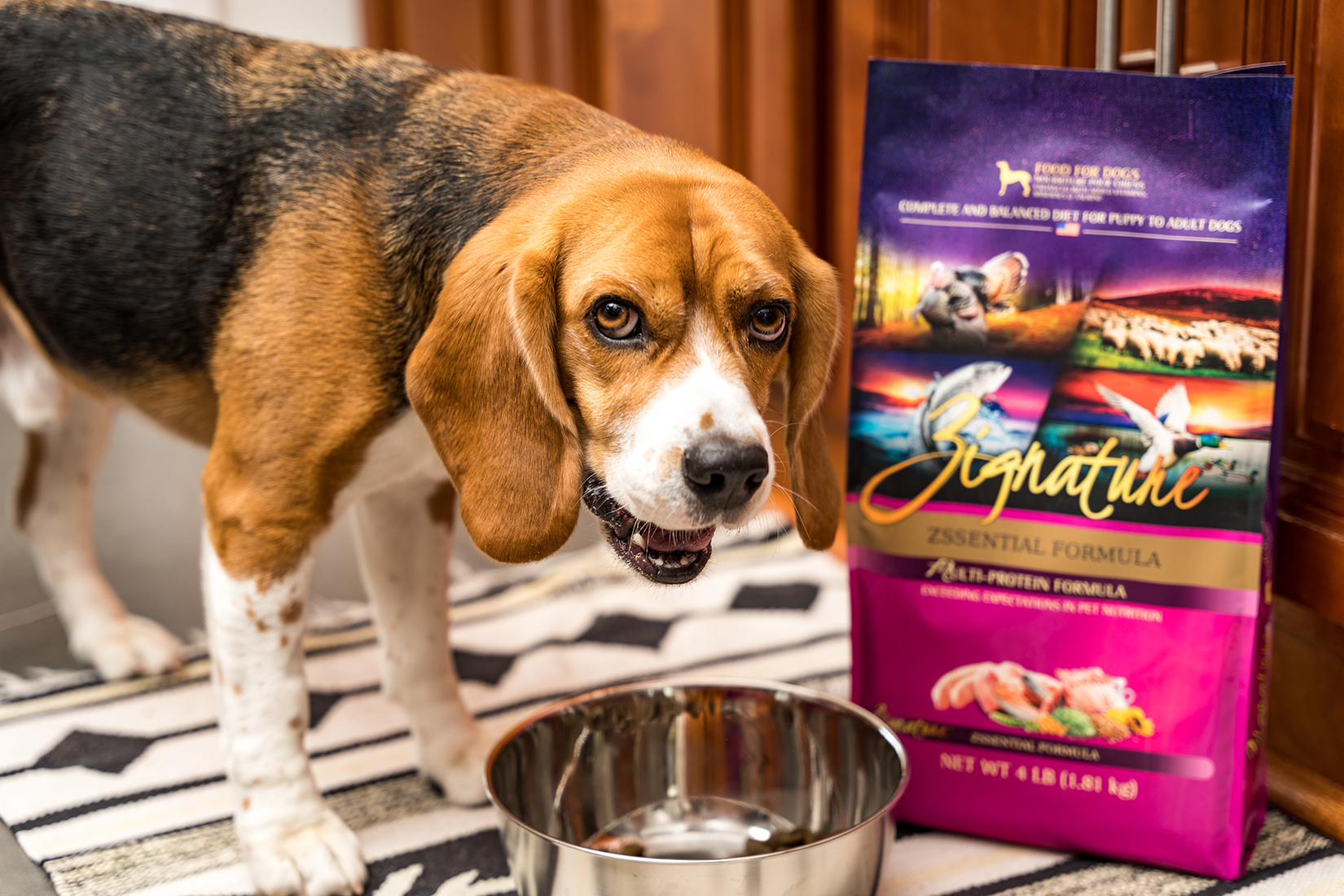 Pet Circle Launches Zignature Dog Food In Australia Australian Dog Lover