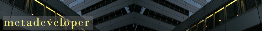 MetaDeveloper