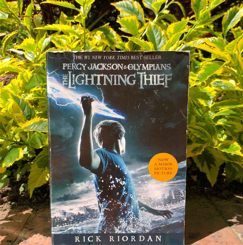 The lightning thief. Percy Jackson and Olympians