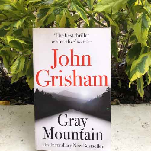 Gray mountain (libro en inglés)