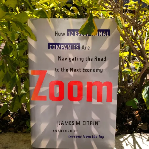 Zoom: How 12 Exceptional Companies are Navigating the Road to the Next Economy