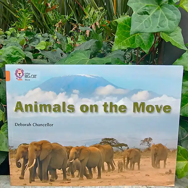 Libro Animals on the move libro en inglés