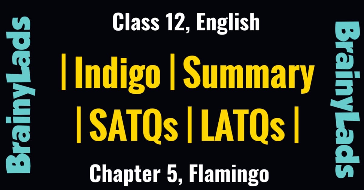 Indigo Class 12