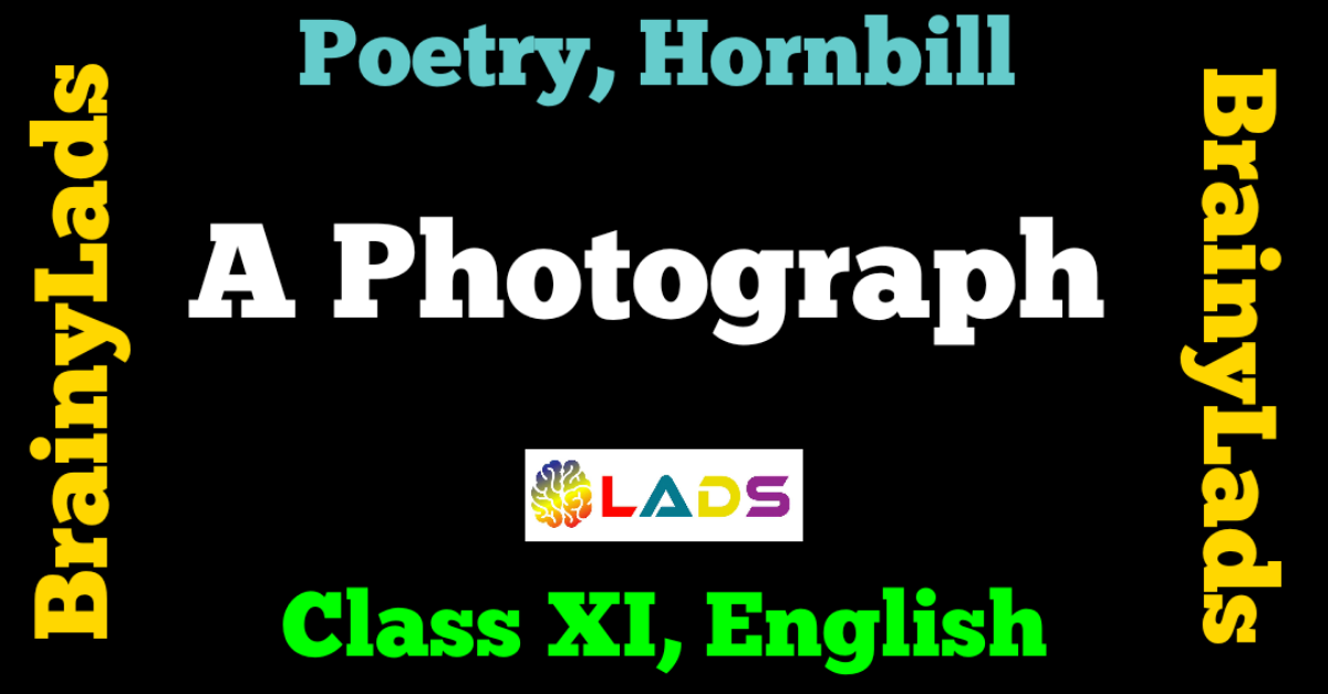 A photograph Class 11