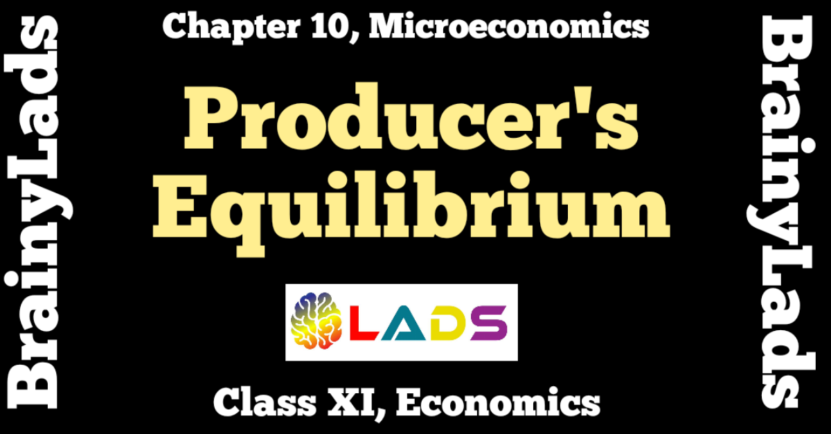 Producer's Equilibrium