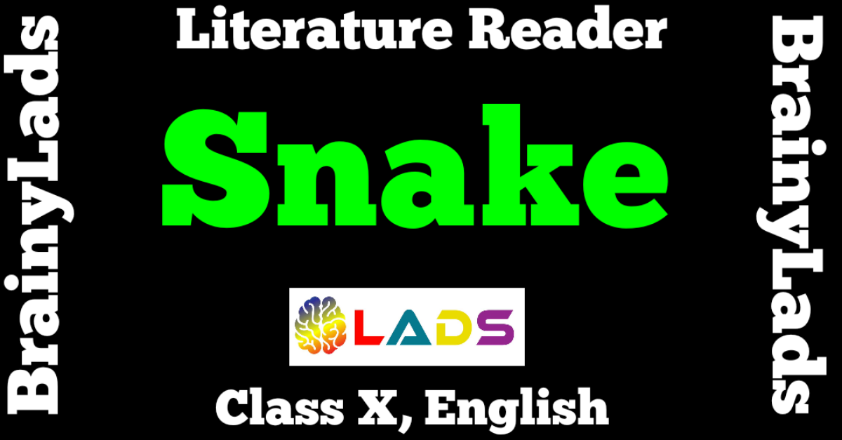 Snake Summary Class 10