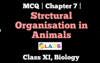MCQ Of Structural Organization in Animals