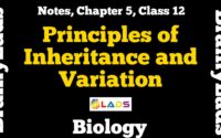 Principles of Inheritance and Variation