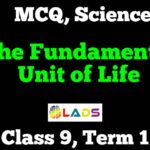 MCQ of The Fundamental Unit of Life
