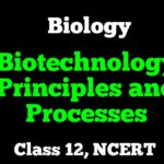 Biotechnology Principles and Processes Class 12
