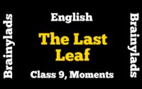 The Last Leaf Class 9