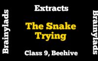 Extracts of The Snake Trying