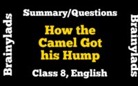 How the Camel Got his Hump Class 8