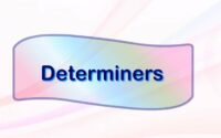 Use of Determiners in English Grammar