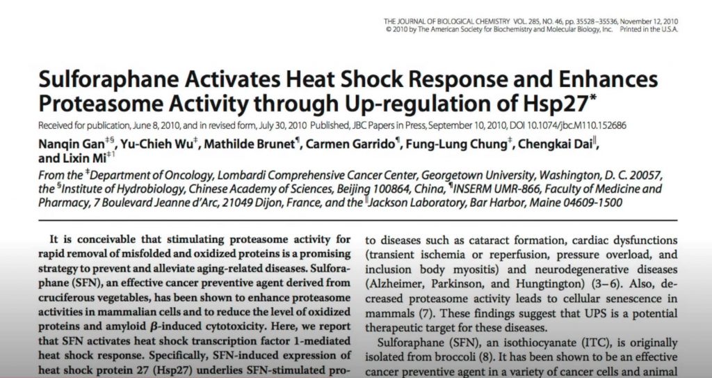 Sulforaphane Activates Heat Shock Response and Enhances Proteasome Activity through Up regulation of Hsp27