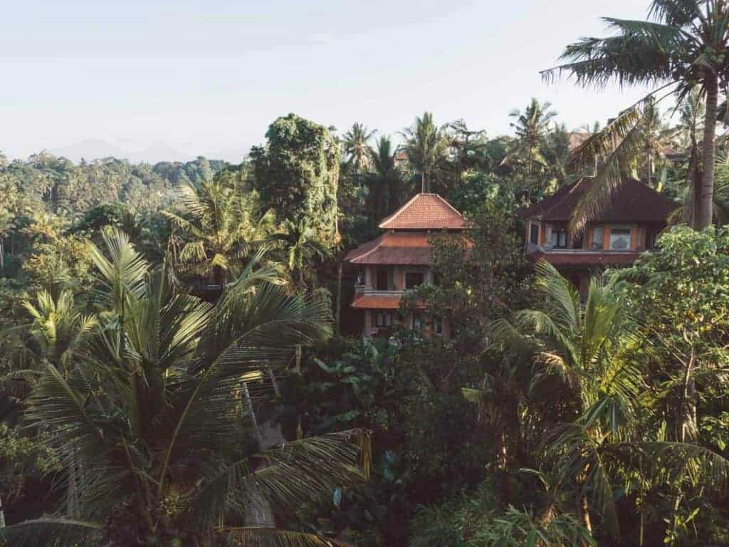 Balinese villas in the jungle in Ubud