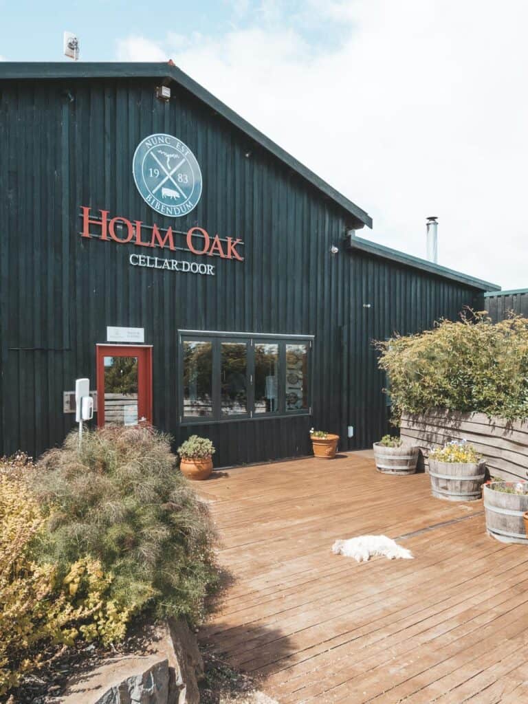 Holm Oak Cellar Door - one of the best Tamar Valley wineries near Launceston