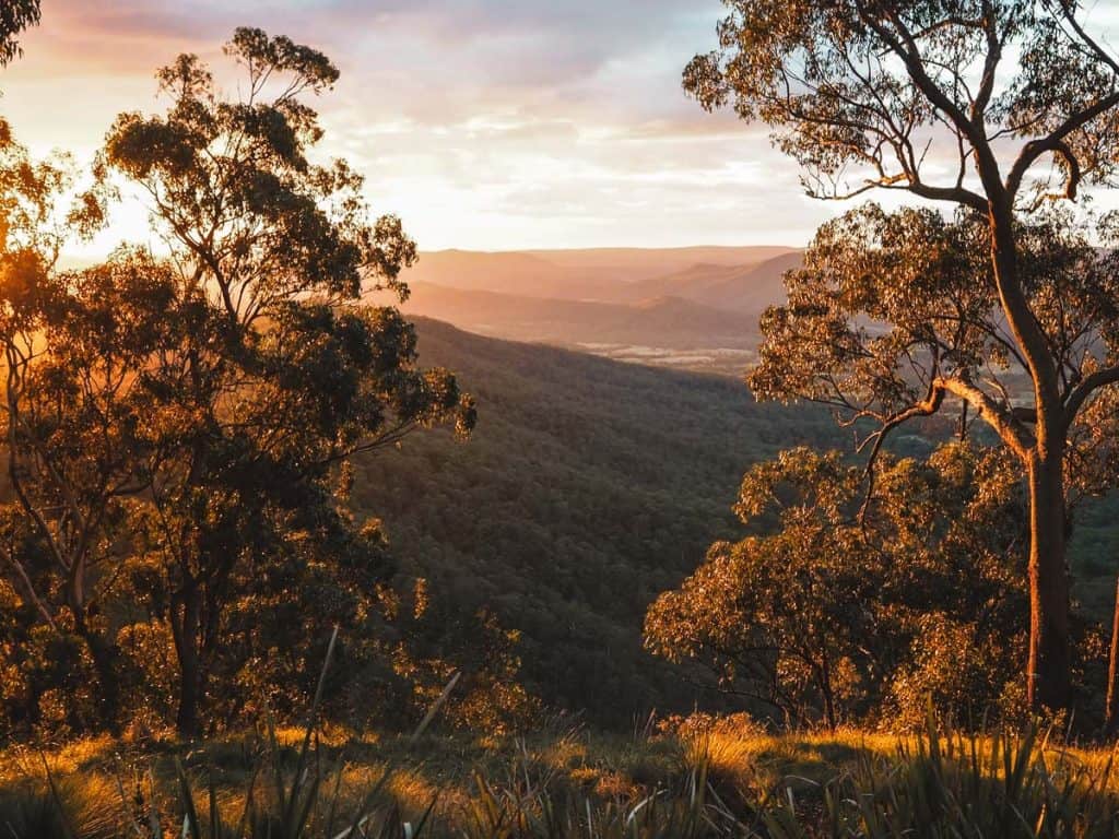 Sunset views over Glen Rock State Forest from accommodation at Spicers Peak Lodge