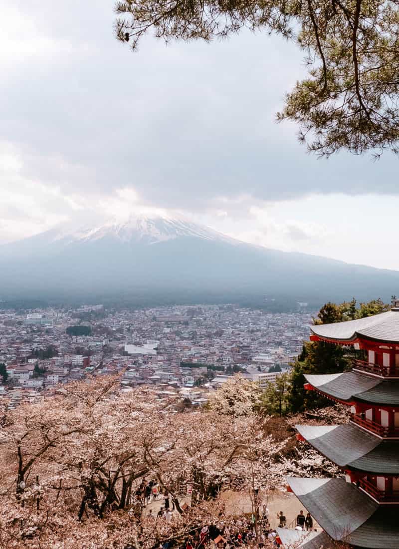 Tokyo Beyond the City: 11 Places to Visit from Tokyo on a Day Trip