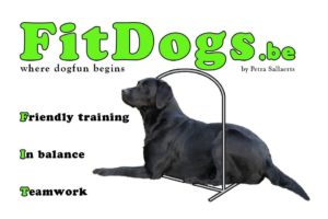 fitdogs.be