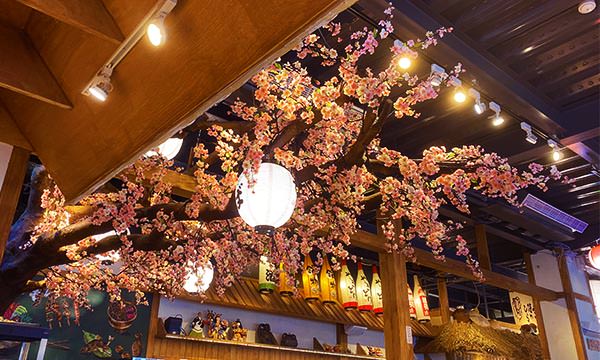 八條壽司櫻花
