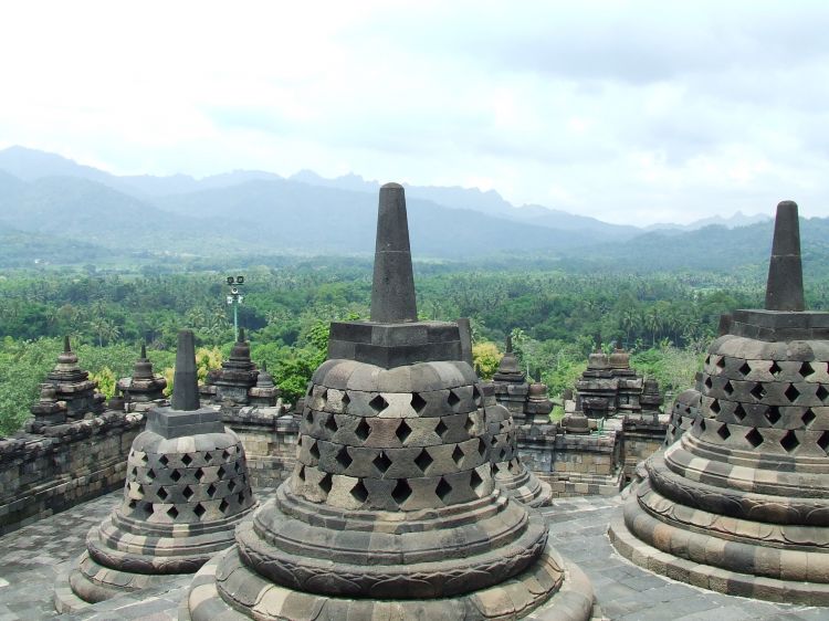 Relief Burung Mitologi Ada Di 5 Candi Indonesia Ini, Deskripsi lukisan candi borobudur