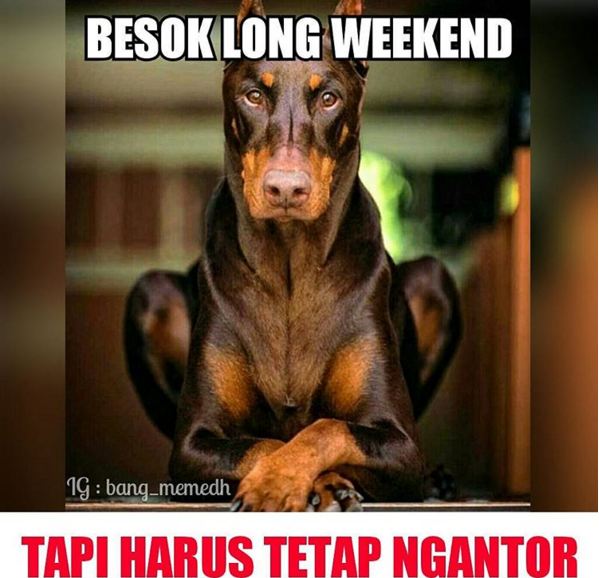 16 Meme Lucu Long Weekend Hibur Kamu Yang Liburannya Ngenes