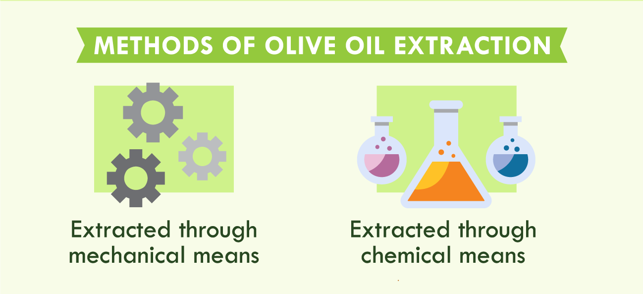 illustration of methods of olive oil extraction