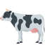 Cow :cow2: ๐
