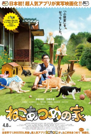 KissAsian | Cat Collections House Neko Atsume House Asian Dramas and Movies with Eng cc Subs in HD