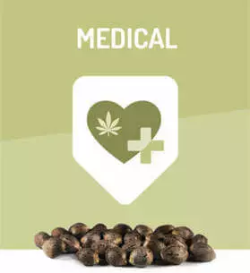 medical-seeds