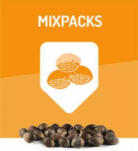 mix-pack-seeds