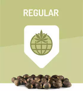 regular-seeds