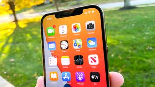 iPhone 12 Pro Max review notch