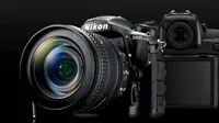 Best DSLR cameras: Nikon D500