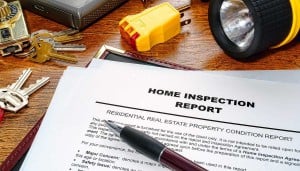 inspection house report pest check building property