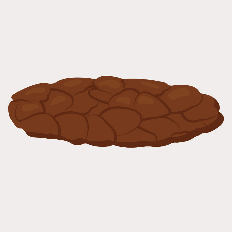 This Poop Chart Identifies Different Types of Poop And What They Mean