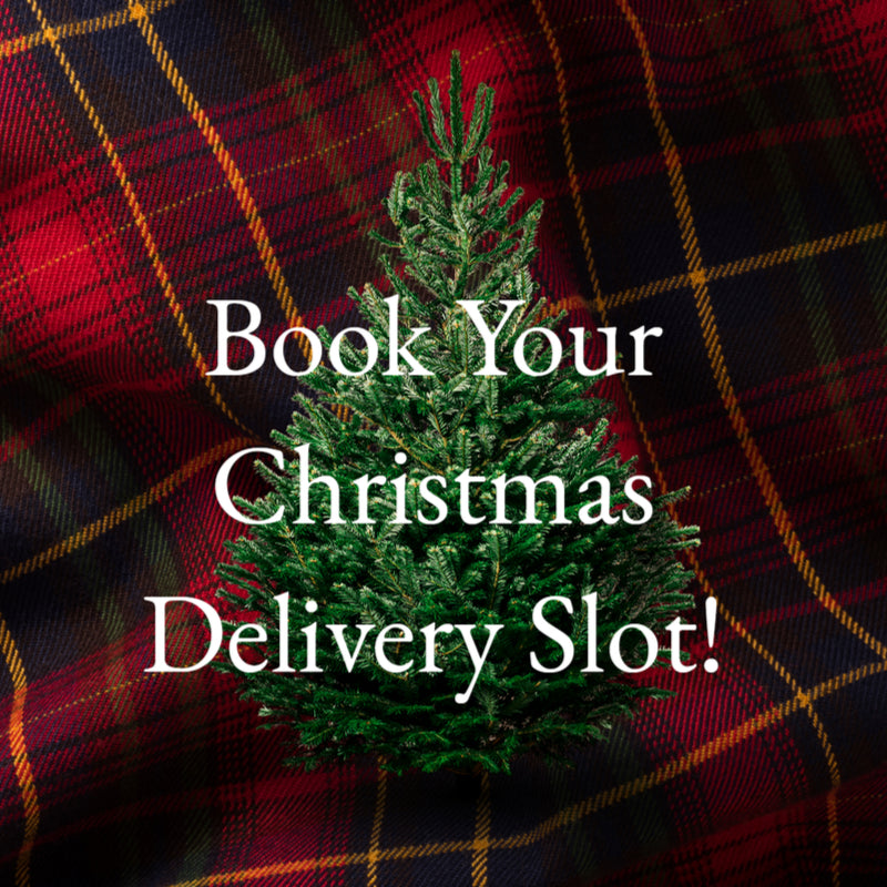 Book Your Christmas Tree Delivery Pines And Needles