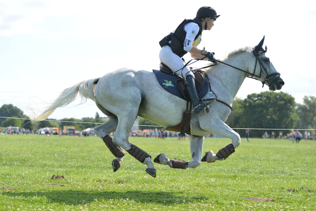 Too Fat Too Skinny Or Just Right Feeding Your Horse For Peak Noelle Floyd