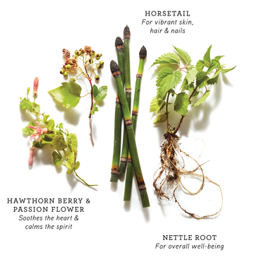 Super Herb Spotlight Series Hawthorn Berry Skinte