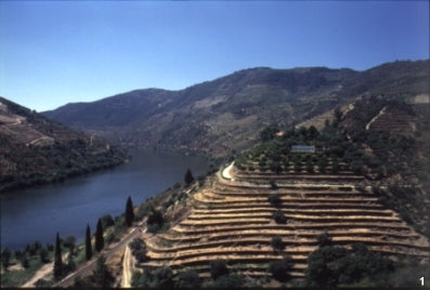 Portwein Und Der Fluss Douro Weingalerie Weine Aus Portugal