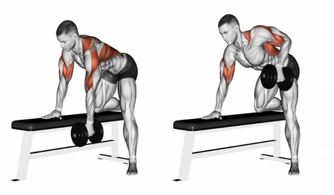 6 Best Arm Strengthening Exercises With Dumbbells