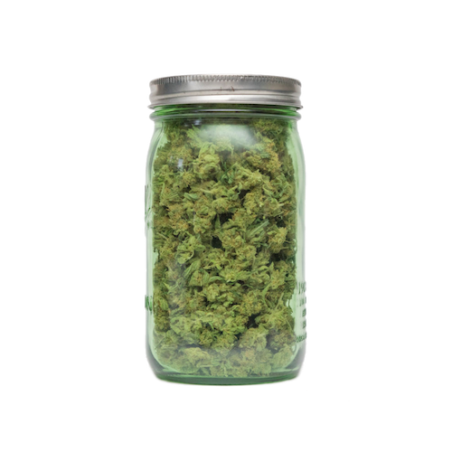 How To Cure Cannabis Flowers The Press Club