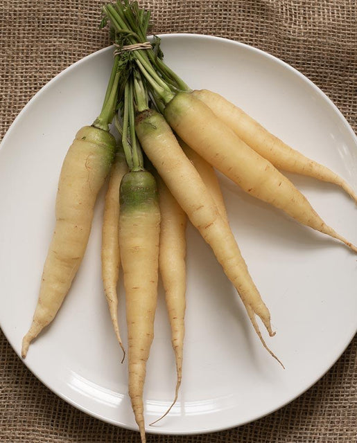 White Satin Carrot Seeds West Coast Seeds
